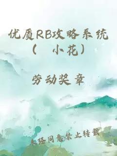 优质RB攻略系统(寀小花)