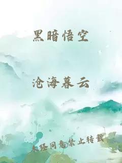 黑暗悟空