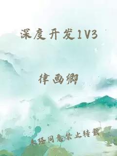 深度开发1V3