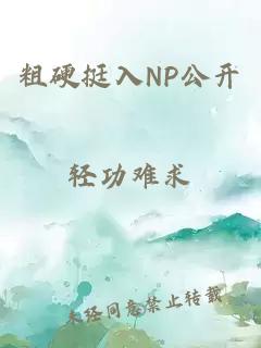 粗硬挺入NP公开