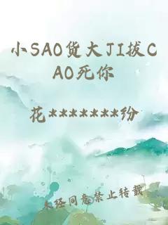 小SAO货大JI拔CAO死你