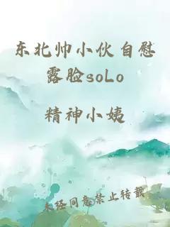 东北帅小伙自慰露脸soLo