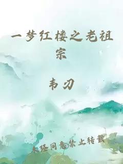 一梦红楼之老祖宗