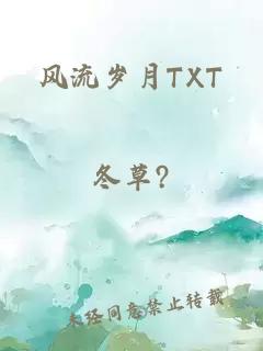 风流岁月TXT