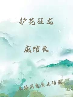 护花狂龙