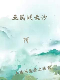 五鼠战长沙