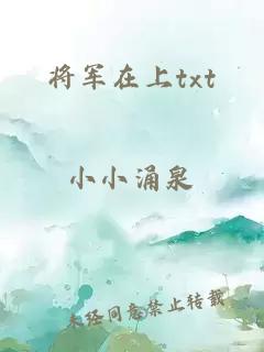 将军在上txt