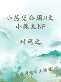 小荡货公厕H文小辣文NP