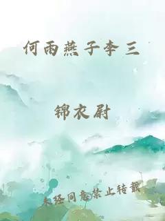 何雨燕子李三