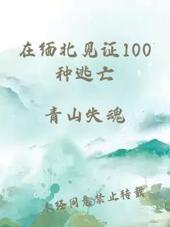 在缅北见证100种逃亡