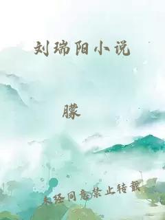 刘瑞阳小说