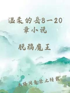 温柔的岳8一20章小说