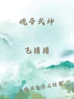 魂帝武神