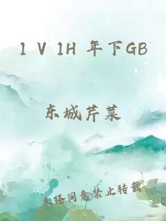 1 V 1H 年下GB