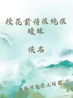 校花前传很纯很暧昧