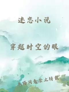 迷恋小说