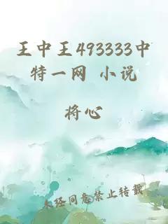 王中王493333中特一网 小说