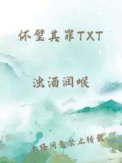 怀璧其罪TXT