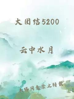 大团结5200