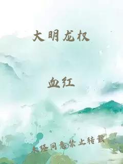 大明龙权