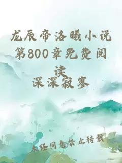 龙辰帝洛曦小说第800章免费阅读