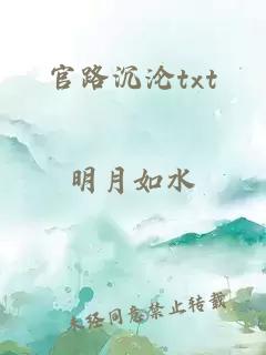 官路沉沦txt