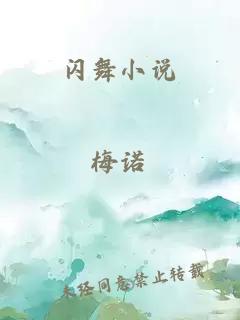 闪舞小说