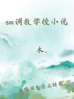 sm调教学校小说