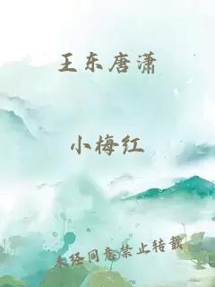 王东唐潇