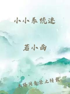 小小系统迷