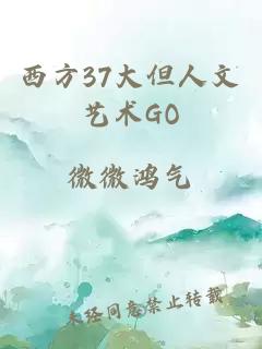 西方37大但人文艺术GO