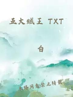 五大贼王 TXT