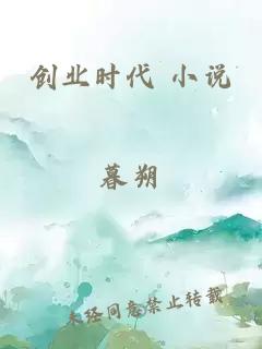 创业时代 小说