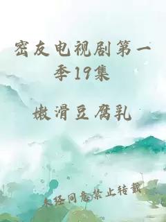 密友电视剧第一季19集