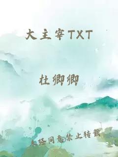 大主宰TXT