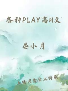 各种PLAY高H文