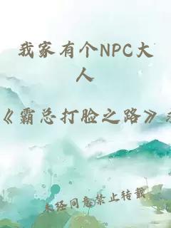 我家有个NPC大人