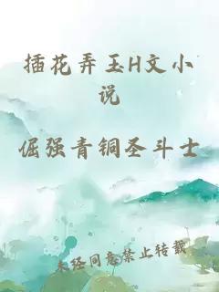 插花弄玉H文小说