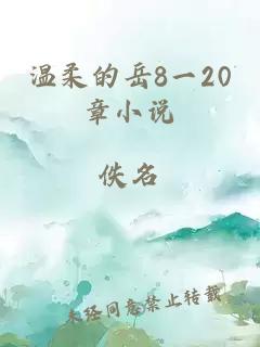 温柔的岳8一20章小说