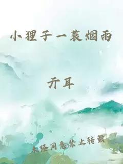 小狸子一蓑烟雨