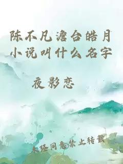 陈不凡澹台皓月小说叫什么名字