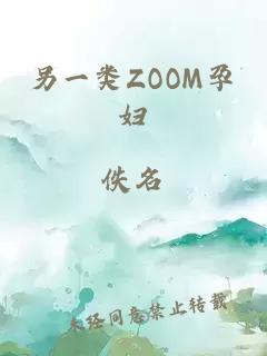 另一类ZOOM孕妇