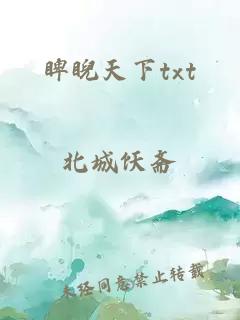 睥睨天下txt