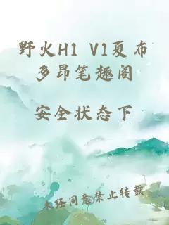 野火H1 V1夏布多昂笔趣阁