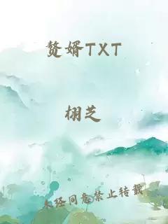 赘婿TXT