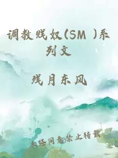 调教贱奴(SM )系列文