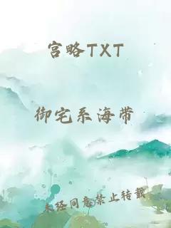 宫略TXT