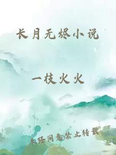 长月无烬小说