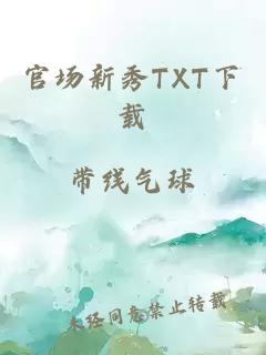 官场新秀TXT下载