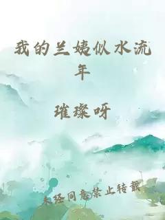 我的兰姨似水流年